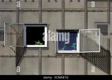 Tanzende Schatten: Musikalische Reflexionen. Die Fassade des „Turkis“-Veranstaltungsorts für Live-Musik in Aarhus, Dänemark, zeigt zwei offene Fenster mit Pflanzen im Inneren, die gemusterte Schatten über die strukturierte Oberfläche werfen. Stockfoto