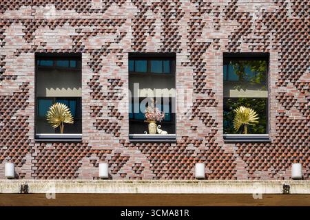 Windows of Wimsy: Eine Fusion aus Tradition und Verspieltheit. In Eindhoven, Niederlande, verbindet eine Klinkerfassade traditionelle Handwerkskunst mit verspielten Schaufenstern mit künstlichen Blumen und verleiht der urbanen Straßenlandschaft Kreativität und Charakter. Stockfoto