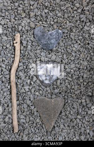 Objekte aus der Natur, Treibholz, Muschelschale, herzförmiger Stein, Kieselsteine Stockfoto