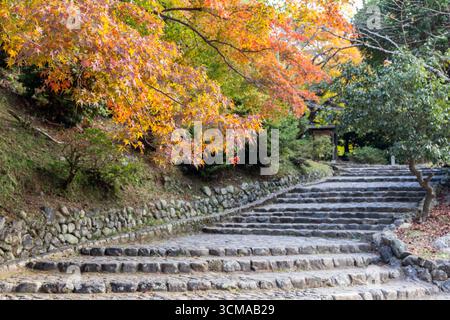 Ruhiger Pfad mit traditionellen Steintreppen windet sich unter herbstlichen Ahornzweigen in Kyoto, Japan, und bietet eine friedliche Waldszene im Herzen von Arashiyama Stockfoto