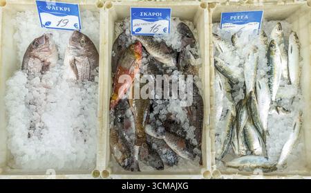 Fischladen in den Straßen von Rethimnon, Brassen, Hering, IÂ¡I-III', Fisch auf Eis, Rethymno, Europa, Kreta, Griechenland, GR, reisen, Tourismus, Reiseziel Stockfoto