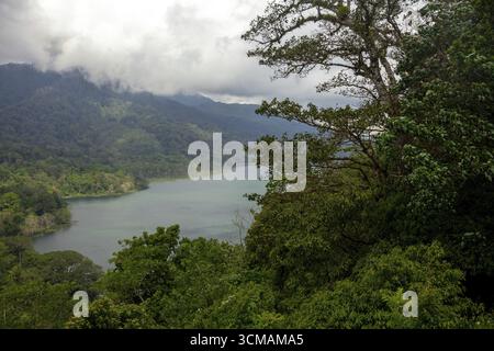Lake Danau Buyan und Danau Tamblingan Lake, Landschaft, Wolken, Dschungel, Banjar, Bali, Indonesien, Asien, Europa, Luftaufnahme, Vogelperspektive, Luftpho Stockfoto