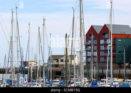 Amble Marina, Northumberland. Nordostengland Stockfoto