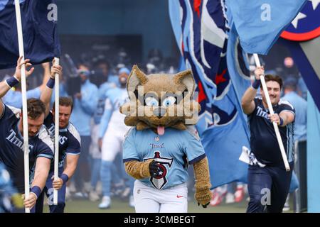 Nashville, USA. September 2025. Das Tennessee Titans Maskottchen T-RAC läuft auf das Feld, bevor das Spiel gegen die Los Angeles Rams am 14. September 2025 im Nissan Stadium in Nashville, Tennessee, beginnt. (Foto: Kindell Buchanan/SIPA USA) Credit: SIPA USA/Alamy Live News Stockfoto