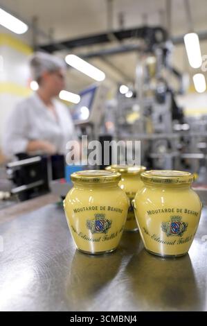 FRANKREICH, Burgund, Beaune, Senfmacher Moutarderie Fallot, Herstellung von Dijon Senf und Senf de Bourgogne / FRANKREICH, Burgund, Beaune, Senfmacher Moutarderie Fallot, Herstellung Dijon Senf und Senf de Bourgogne, Abfüllung Stockfoto