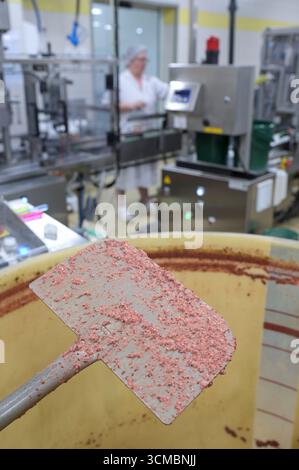 FRANKREICH, Burgund, Beaune, Senfmacher Moutarderie Fallot, Herstellung von Dijon Senf und Senf de Bourgogne / FRANKREICH, Burgund, Beaune, Senfmacher Moutarderie Fallot, Herstellung Dijon Senf und Senf de Bourgogne, Abfüllung Stockfoto