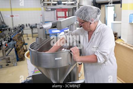 FRANKREICH, Burgund, Beaune, Senfmacher Moutarderie Fallot, Herstellung von Dijon Senf und Senf de Bourgogne / FRANKREICH, Burgund, Beaune, Senfmacher Moutarderie Fallot, Herstellung Dijon Senf und Senf de Bourgogne, Abfüllung Stockfoto