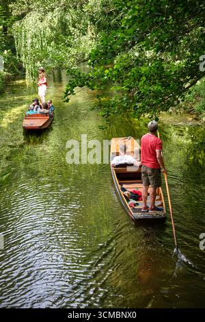 Touristen auf Punts auf dem Fluss Stour in Canterbury an einem sonnigen Sommertag Stockfoto