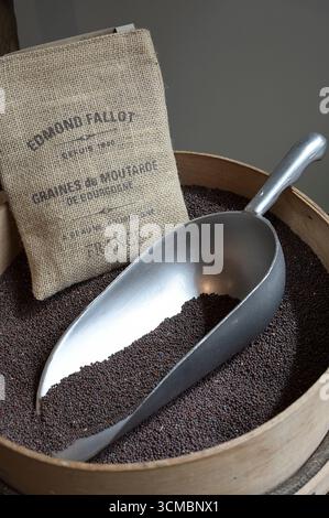 FRANKREICH, Burgund, Beaune, Senfmacher Moutarderie Fallot, scharfer brauner Senf, lat. Brassica juncea / FRANKREICH, Burgund, Beaune, Senfmacher Moutarderie Fallot, brauner scharfer Senf, lat. Brassica juncea Stockfoto