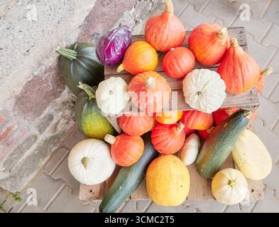 Anzeige verschiedener Kürbisarten, selektiver Fokus. Stockfoto
