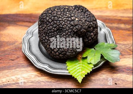 Köstliche Pilze, frische schwarze Sommertrüffelpilze aus Italien für die Zubereitung von Trüffelgerichten mit leckerem Aroma, kulinarisches Restaurant in Frankreich Stockfoto