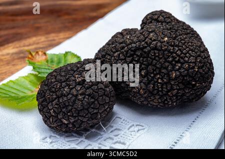 Köstliche Pilze, frische schwarze Sommertrüffelpilze aus Italien für die Zubereitung von Trüffelgerichten mit leckerem Aroma, kulinarisches Restaurant in Frankreich Stockfoto