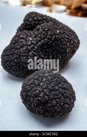 Köstliche Pilze, frische schwarze Sommertrüffelpilze aus Italien für die Zubereitung von Trüffelgerichten mit leckerem Aroma, kulinarisches Restaurant in Frankreich Stockfoto