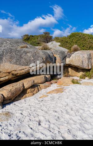 Foto von Swimcart Beach an der Bay of Fires, berühmt für seine unverwechselbaren bunten Flechten, die von Seeleuten im Norden als Wahrzeichen genutzt wurde Stockfoto