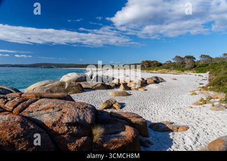 Foto von Swimcart Beach an der Bay of Fires, berühmt für seine unverwechselbaren bunten Flechten, die von Seeleuten im Norden als Wahrzeichen genutzt wurde Stockfoto