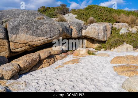 Foto von Swimcart Beach an der Bay of Fires, berühmt für seine unverwechselbaren bunten Flechten, die von Seeleuten im Norden als Wahrzeichen genutzt wurde Stockfoto