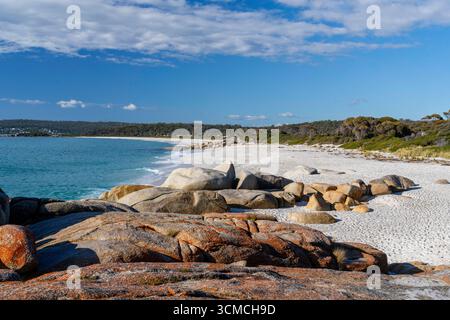 Foto von Swimcart Beach an der Bay of Fires, berühmt für seine unverwechselbaren bunten Flechten, die von Seeleuten im Norden als Wahrzeichen genutzt wurde Stockfoto