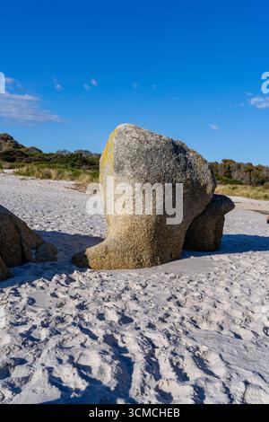 Foto von Swimcart Beach an der Bay of Fires, berühmt für seine unverwechselbaren bunten Flechten, die von Seeleuten im Norden als Wahrzeichen genutzt wurde Stockfoto