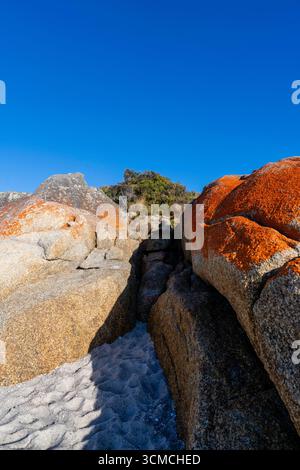 Foto von Swimcart Beach an der Bay of Fires, berühmt für seine unverwechselbaren bunten Flechten, die von Seeleuten im Norden als Wahrzeichen genutzt wurde Stockfoto