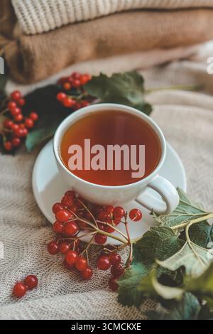 Tasse Tee in Herbstkomposition mit Viburnum. Stockfoto