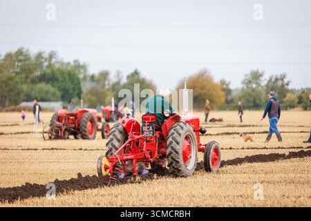 Die Makerfield Pfluggesellschaft veranstaltete ein Pflugspiel in der Moss Side Farm, Manchester Road, Rixton, Warrington, Cheshire, Stockfoto