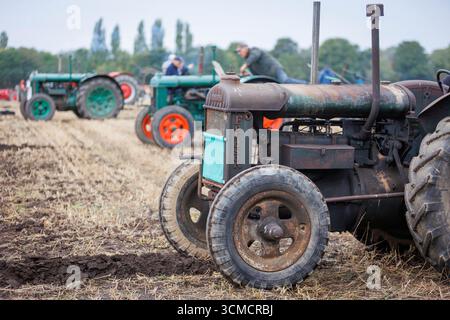 Die Makerfield Pfluggesellschaft veranstaltete ein Pflugspiel in der Moss Side Farm, Manchester Road, Rixton, Warrington, Cheshire, Stockfoto