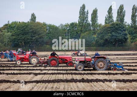 Die Makerfield Pfluggesellschaft veranstaltete ein Pflugspiel in der Moss Side Farm, Manchester Road, Rixton, Warrington, Cheshire, Stockfoto