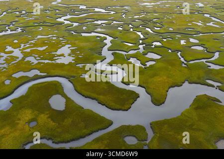 Geschwungene Kanäle schlängeln sich durch ein malerisches Salzmoor in Cape Cod, Massachusetts. Salzwiesen dienen als natürliche Kohlenstoffsenken und geschützte Baumschulen. Stockfoto