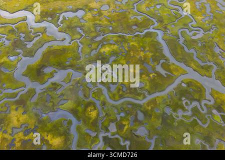 Geschwungene Kanäle schlängeln sich durch ein malerisches Salzmoor in Cape Cod, Massachusetts. Salzwiesen dienen als natürliche Kohlenstoffsenken und geschützte Baumschulen. Stockfoto