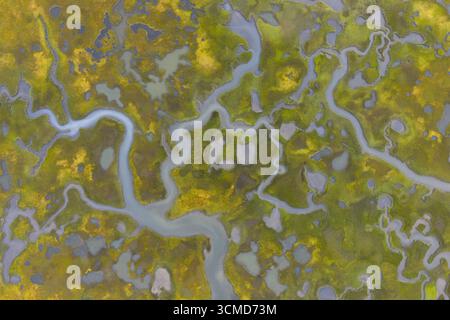 Geschwungene Kanäle schlängeln sich durch ein malerisches Salzmoor in Cape Cod, Massachusetts. Salzwiesen dienen als natürliche Kohlenstoffsenken und geschützte Baumschulen. Stockfoto