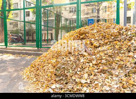 Großer Haufen trockener Herbstblätter neben dem städtischen Basketballfeld, umgeben von Wohnhäusern, die Herbstlaub in der Stadt reinigen Stockfoto