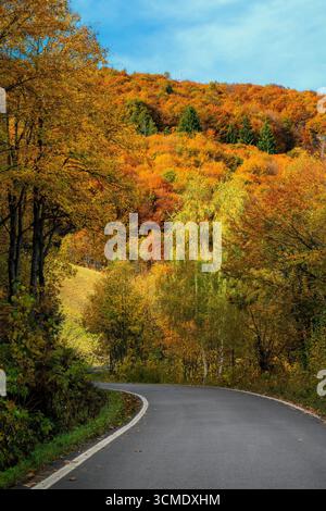 Eine malerische Straße schlängelt sich durch einen Wald mit lebhaften herbstlichen Bäumen in der Nähe des Colle di Tenda-Gebirgspasses in Italien. Stockfoto
