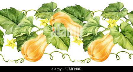 Aquarell reife beige Kürbisse mit grünen Blättern, Stängeln und gelben Blüten, nahtloser Rand, Herbstlese-Illustration, handgezeichnete Skizze, für Hallo Stockfoto