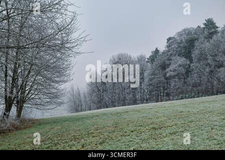 Nebelige Winterlandschaft bei Michelstadt im Odenwald, Wiesen und Bäume mit Raureif, Hessen, Deutschland Stockfoto