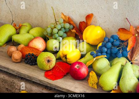 Vielfalt reifer Früchte auf dem Holz. Herbsternte rustikale Komposition. Ländliche Bio-Lebensmittel in der Herbstsaison. Gilt als Thanksgiving-Hintergrund Stockfoto