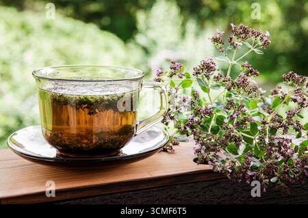 Hausgemachter Oregano, Origanum vulgare Kräutertee in einer Glas-Teetasse. Dampfendes Heißgetränk mit frischen Oregano-Blüten, Holzbrett und Natur Stockfoto