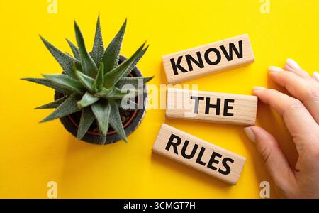 Kennen Sie das Regelsymbol. Holzblöcke mit Worten kennen die Regeln. Geschäftsmann Hand. Schöner gelber Hintergrund mit saftiger Pflanze. Business und Know-how Stockfoto