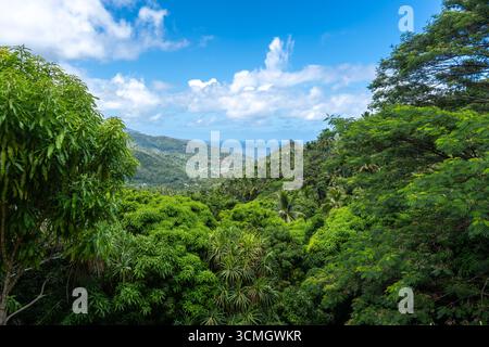 Üppiger tropischer Wald über den Bergen mit Blick auf die Bucht von Atuona, Hiva OA, Französisch-Polynesien. Eine atemberaubende Landschaft mit grünen Hügeln, Palmen und Th Stockfoto