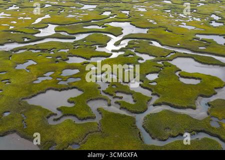 Geschwungene Kanäle schlängeln sich durch ein malerisches Salzmoor in Cape Cod, Massachusetts. Salzwiesen dienen als natürliche Kohlenstoffsenken und geschützte Baumschulen. Stockfoto