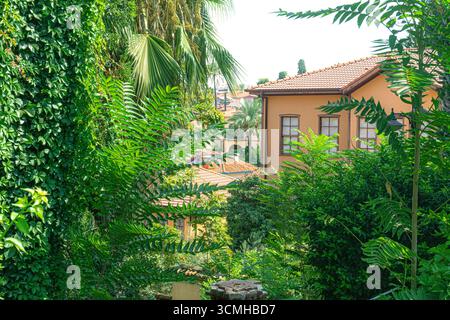 Traditionelles Haus mit orangen Wänden und einem Terrakotta-Fliesendach, das durch einen dichten Rahmen aus üppig grünem Laub und tropischen Pflanzen gesehen wird Stockfoto