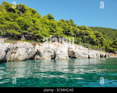 Das atemberaubende türkisfarbene Wasser und die Meereshöhlen entlang der mit Kiefern bedeckten Klippen am Kastani Beach auf Skopelos Island, Griechenland. Stockfoto
