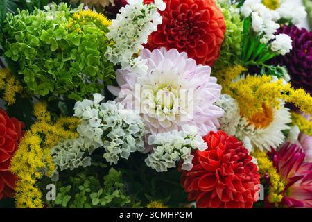 Bunte Blumen blühen in einem atemberaubenden Arrangement zusammen und zeigen die lebendigen Farben des Herbstes. Stockfoto