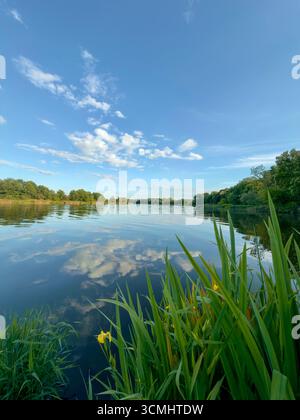 Wunderschöner Blick auf den Fluss an einem sonnigen Sommertag Stockfoto