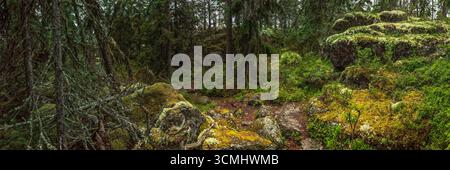 Panoramablick auf leuchtend grüne, moosbedeckte Felsen und hoch aufragende Bäume, die in einem wilden nordschwedischen Wald gedeihen und eine ruhige und unberührte Atmosphäre schaffen Stockfoto