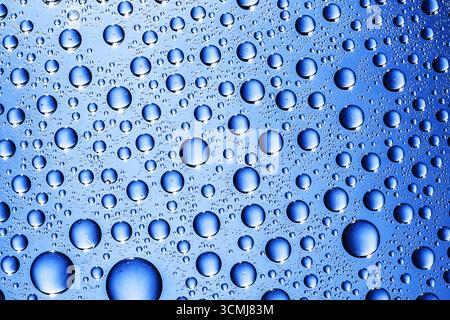 Wassertropfen Textur auf blauer Oberfläche. Abstrakter Hintergrund mit flüssigen Blasen. Frischhydratation und Feuchtigkeits-Konzept. Natürliche Aqua-Makrofotografie. Stockfoto