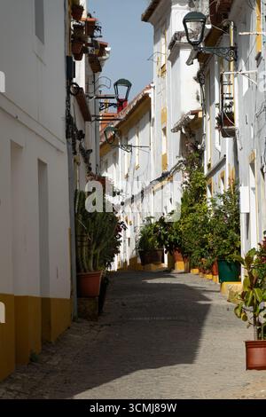Gepflasterte Straßenallee gesäumt von weiß getünchten Gebäuden in einem traditionellen Viertel in Elvas in Portugal Stockfoto