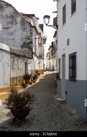 Gepflasterte Straßenallee gesäumt von weiß getünchten Gebäuden in einem traditionellen Viertel in Elvas in Portugal Stockfoto