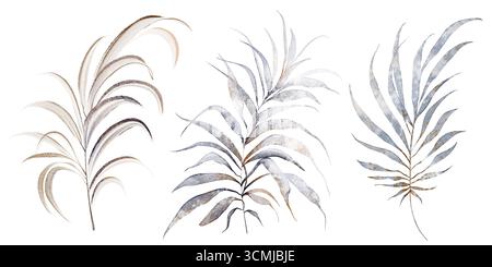 Sammlung von Palmblättern und tropischen Pflanzen. Botanische Illustration von isoliertem Laub, Wedel und Zweigen für Design, Druck, Dekoration, Stockfoto