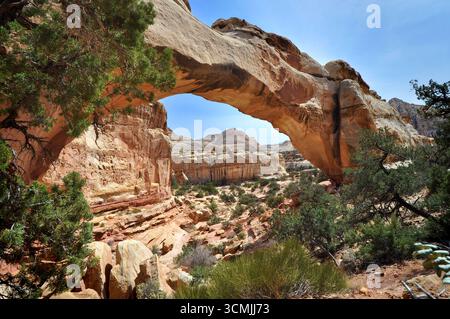 Nahaufnahme der Hickman Natural Bridge in der Wüste, Capitol Reef National Park, Utah, USA Stockfoto