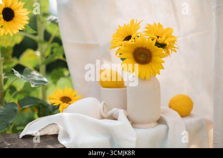 Nahaufnahme eines Strauchs Sonnenblumen (Helianthus annuus) in einer Vase mit frischen Zitronen neben Sonnenblumenpflanzen in einem Sommergarten Stockfoto